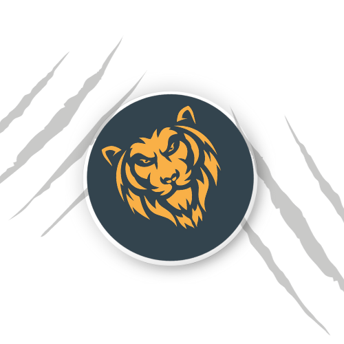 Extra Velcro Patches