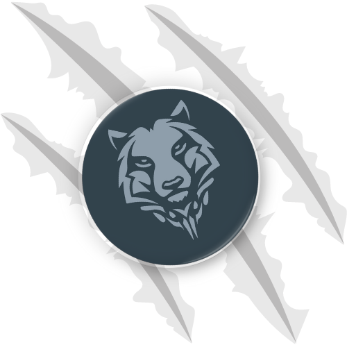 Extra Velcro Patches